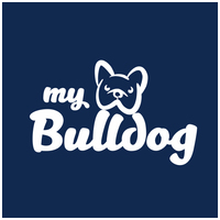 <p>My Bulldog</p>