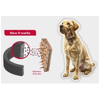 Beaphar CaniShield repellens nyakörv kutyáknak #11