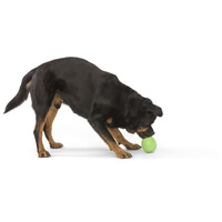 West Paw Rumbl - Jutalomfalattal tölthető labda #13