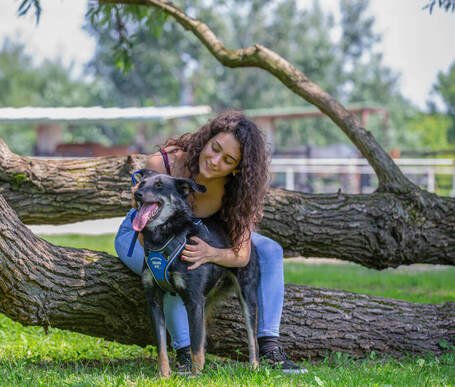 Marcell, 5 éves kan