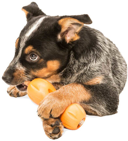 West Paw Qwizl - Jutalomfalattal tölthető rágóka