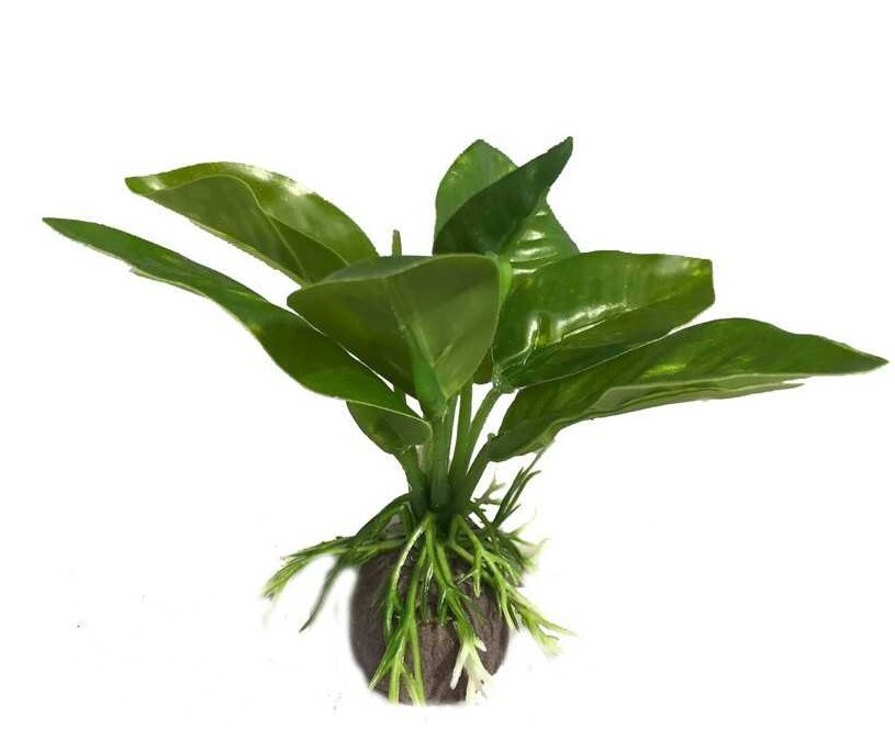 Plantă artificială pentru acvariu cu frunze verzi, late