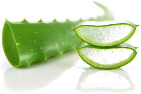 Biogance White Snow Shampoo | Fehér szőrű kutyák fürdetéséhez