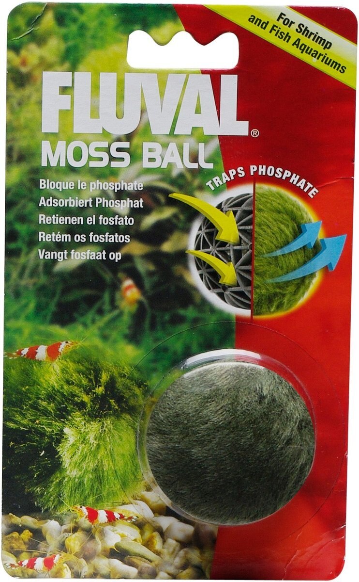 Fluval mohalabda (Moss Ball)