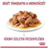 Royal Canin Urinary Care - Szószos nedves táp felnőtt macskák részére az alsó hugyúti problémák megelőzéséért #3