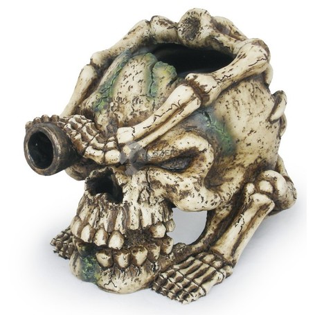 Ágyúszemű William koponya akváriumi dekor