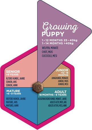 Eukanuba Puppy Large 18 kg