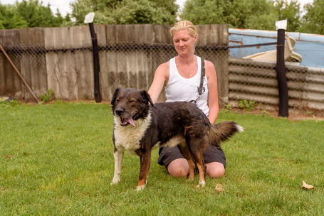 Toby, négy éves, kan