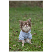 Trixie kapucnis pulcsi kutyáknak szivárvány és felhő rajzzal #4