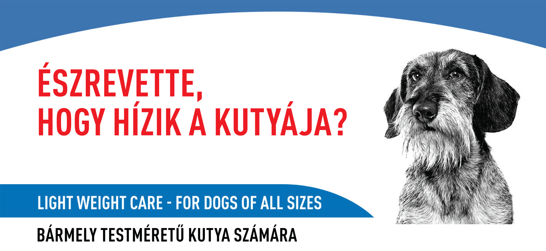 Royal Canin Light Weight Care - Nedves táp hízásra hajlamos felnőtt kutyák részére