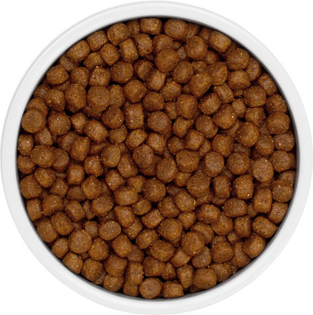 Eminent Adult | Általános táp kis- és közepes testű felnőtt kutyáknak