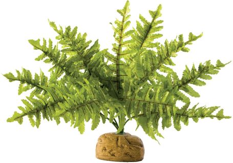 Exo Terra Boston Fern (páfrány) műnövény