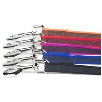 Julius-K9 Color & Gray póráz fogóval #3