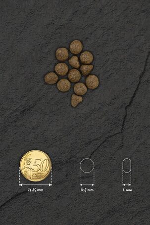 Visán Optimanova Cat Adult Salmon & Potato Grain Free macskaeledel