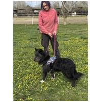 Széna, 1 éves kan #4