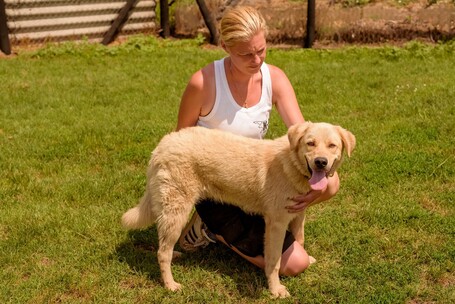 Kasmír, egy éves, kan