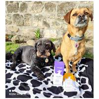 Dr. Kelen PetMed kullancs elleni védőspray kutyáknak és macskáknak #4