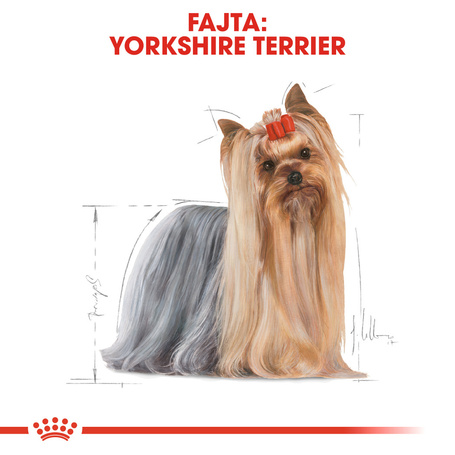 Royal Canin Yorkshire Terrier Adult - Yorkshire Terrier felnőtt kutya száraz táp