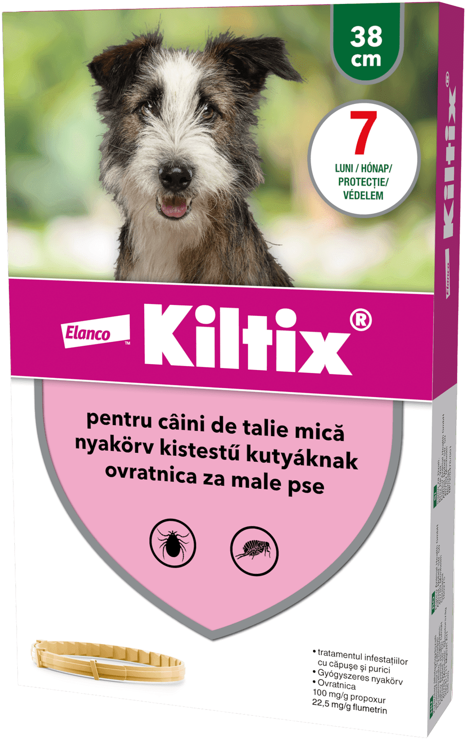 Zgardă Kiltix - zoom