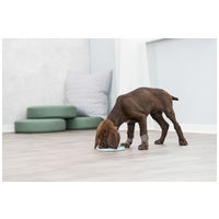 Trixie Junior Licking Plate - Evéslassító gumi tál kölyökkutyáknak #10