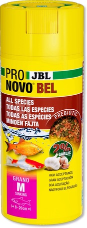 JBL ProNovo Bel Grano (Click)