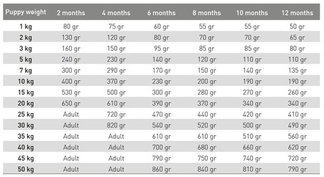 Exclusion Dog Hypoallergenic Pork & Pea Puppy konzerv