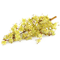 Biogance Tawny Apricot sampon barackszínű szőrű kutyák fürdetéséhez #6