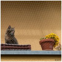 Trixie macskaháló erkélyre, ablakra #6