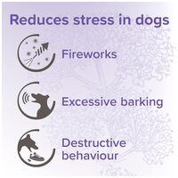 Beaphar No Stress / Calming Spot On kutyáknak #6