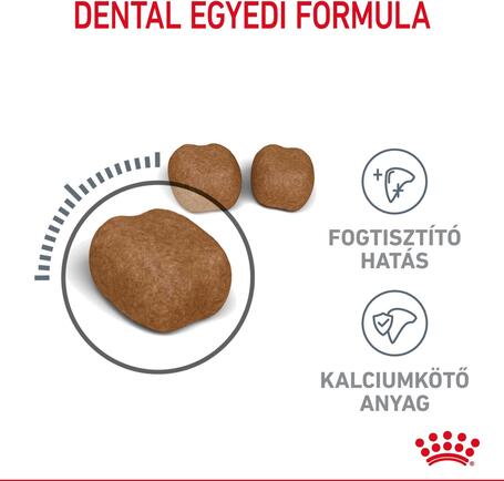 Royal Canin Dental Care - Száraz táp felnőtt macskák részére a fogkőképződés csökkentéséért