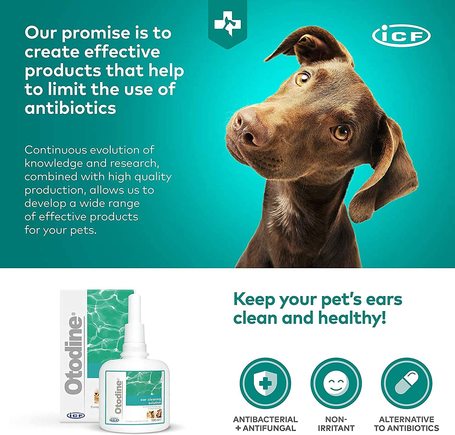 Otodine fültisztító bakteriális fülgyulladás kezelésére