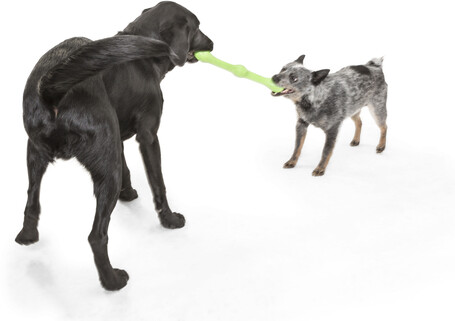 West Paw Zwig apport