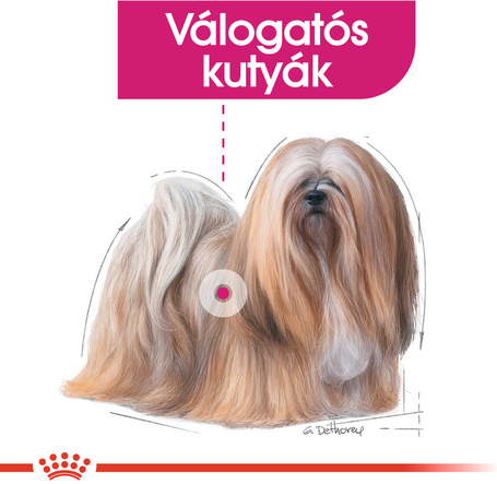 Royal Canin Mini Exigent - Válogatós felnőtt kistestű kutya száraz táp