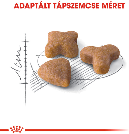 Royal Canin Sensible - Érzékeny emésztésű felnőtt macska száraz táp