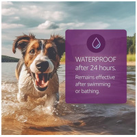 Vectra 3D repellens spot on kutyáknak #4