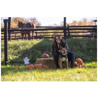 Jázmin, 2 éves, 52 cm magas, szuka #4