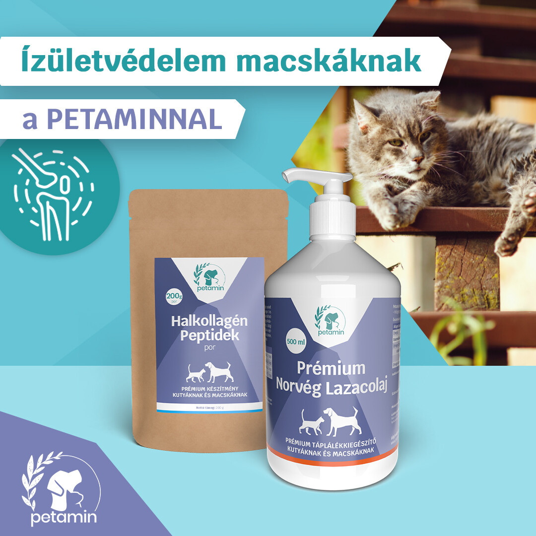 Petamin Halkollagen Peptides pulbere pentru câini și pisici - zoom