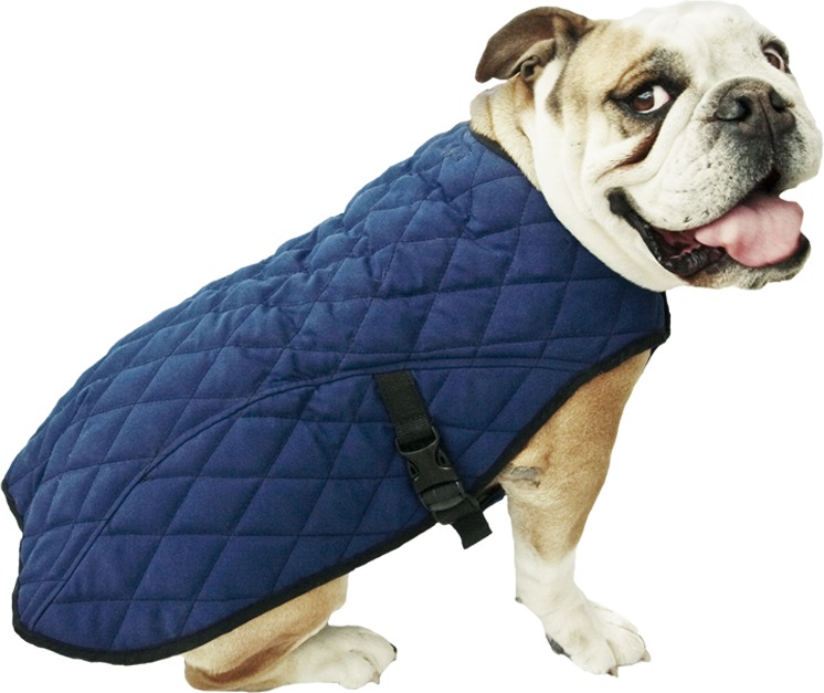 Aqua Coolkeeper jachetă de răcire pentru câini împotriva supraîncălzirii de vară | Diferite mărimi