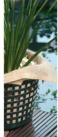 Juta növényültető zsák kerti tóba