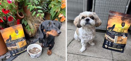 Nyulas táppal bővült az Ambrosia tápcsalád, kistestű kutyáknak