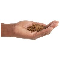 Acana Indoor Entrée #11