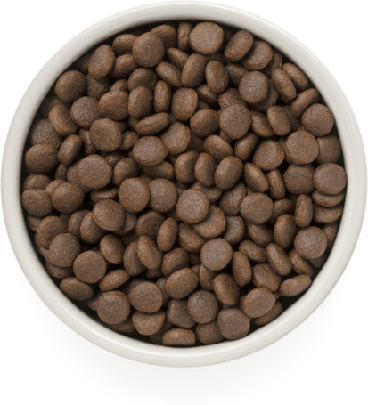 Grandorf Adult Medium & Maxi 4 Meat & Brown Rice