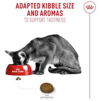 Royal Canin Fussy - válógatós macskák részére #2