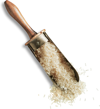 Leonardo Adult Lamb bárányhúsos és rizses szárazeledel