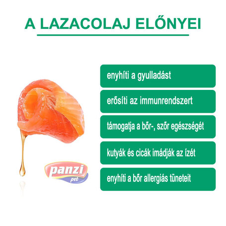 FitActive lazacolaj