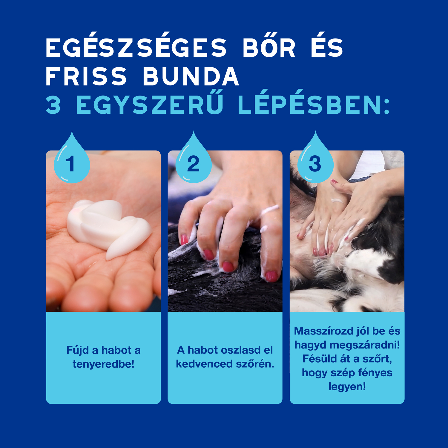 Douxo Spa spumă fără clătire pentru câini - zoom