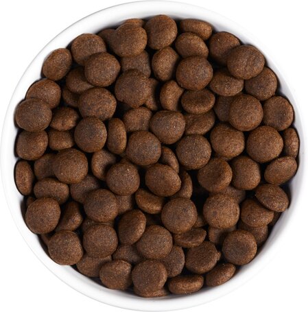 Ambrosia Dog Adult GF Beef & Fresh Salmon