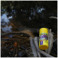 JBL ProNovo Killifish Click #6