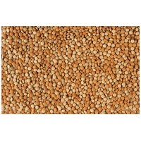 Tetra TabiMin Tablets főeleség fenéklakóknak #3