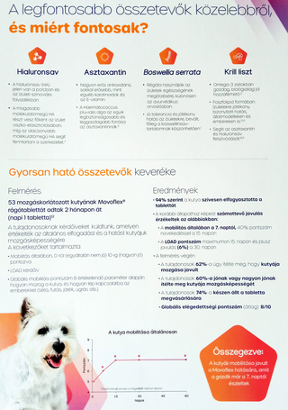 Movoflex ízületvédő rágótabletta